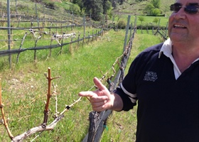 A Visit to Saxon Winery, Summerland B.C.
