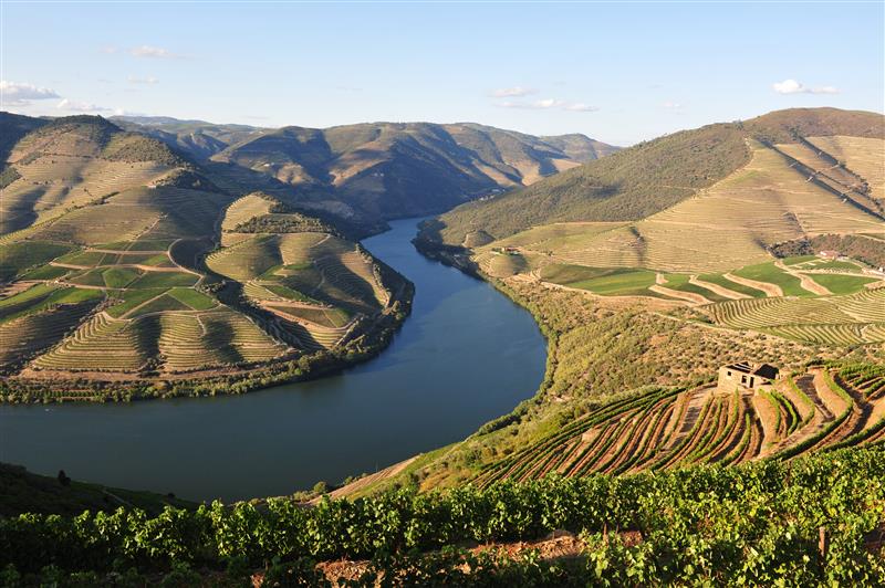 Wine Cruise on The Douro June 2018 book your cabin soon!