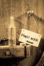 Around the World With Pinot Noir tasting Notes courtesy of Ken Bracke, Sommelier