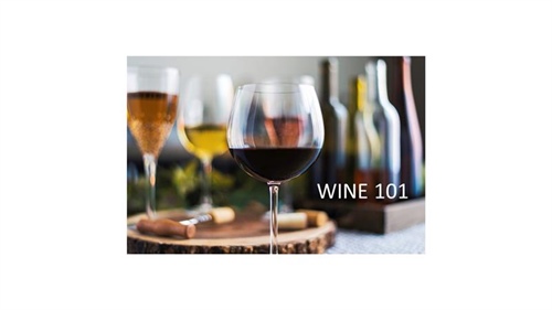 Back to School with Wine 101